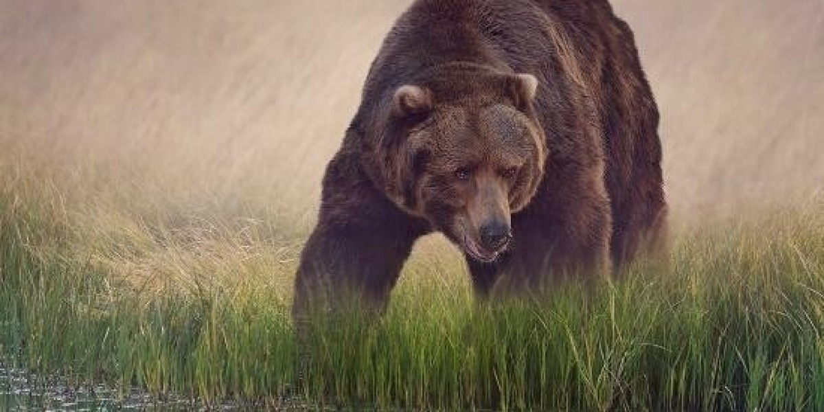 Ime Ndon Shines as FC Milsami Near Moldovan League and Cup Titles